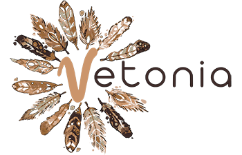 clases de español vetonia